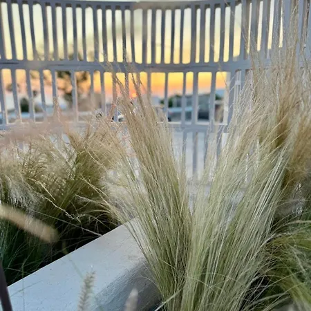 Conte Mykonos I Appartement *