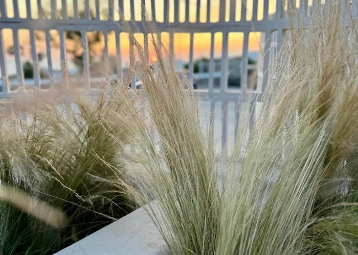 Conte Mykonos I Daire *